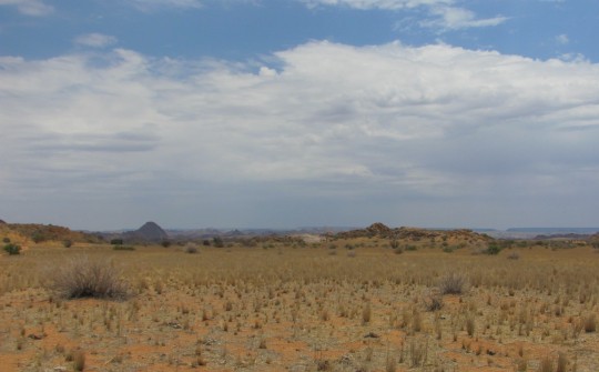 Utility Solar Projects