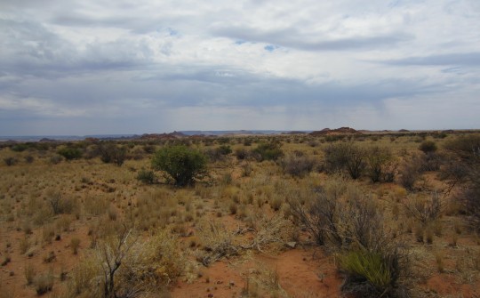 Utility Solar Projects