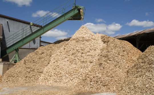 Sawmill Feasibility Study